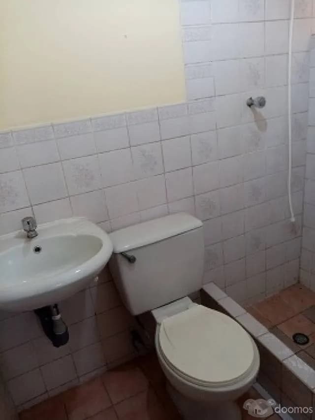 Alquilo departamento en San Martín de Porres — foto 3