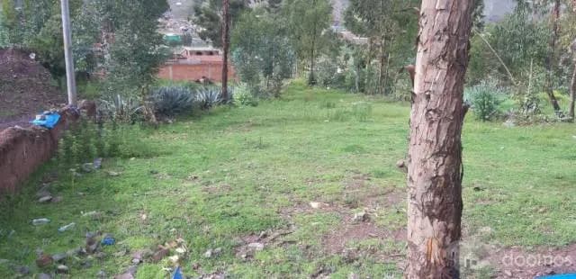 EN VENTA LOTES EN OROPESA — foto 6