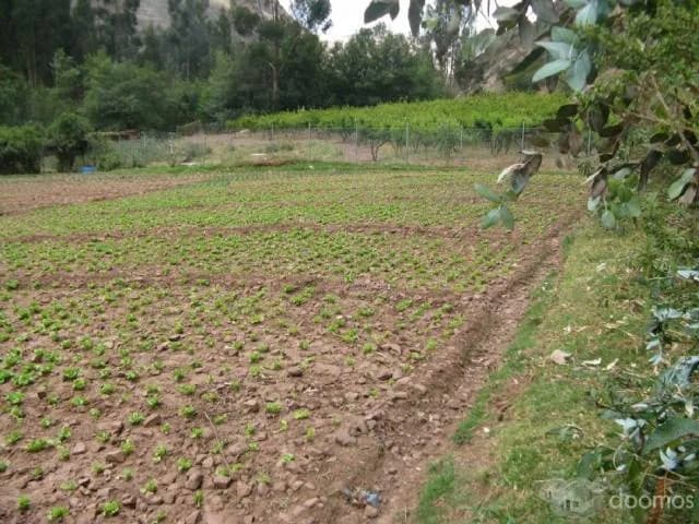 EN VENTA TERRENO EN PUMAHUANCA - URUBAMBA — foto 6