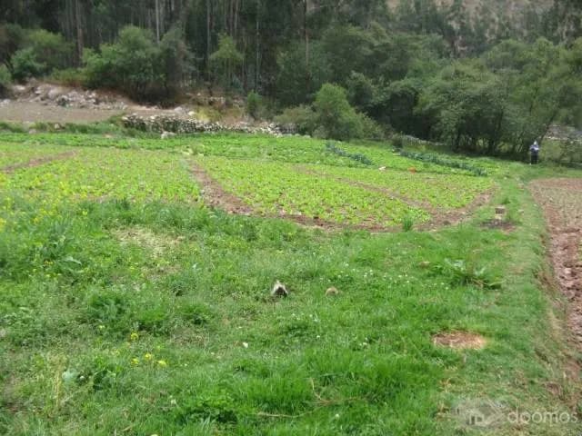 EN VENTA TERRENO EN PUMAHUANCA - URUBAMBA — foto 7