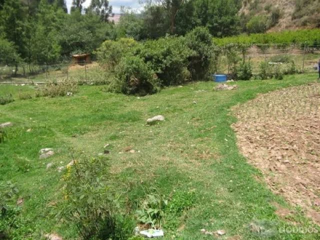 EN VENTA TERRENO EN PUMAHUANCA - URUBAMBA — foto 10