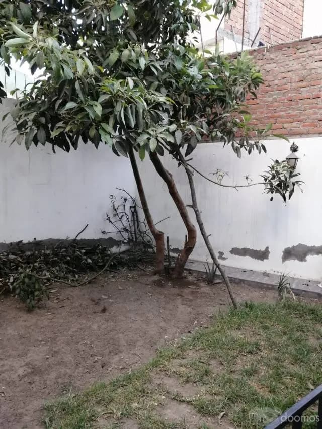 OPORTUNIDAD CASA EN VENTA — foto 10