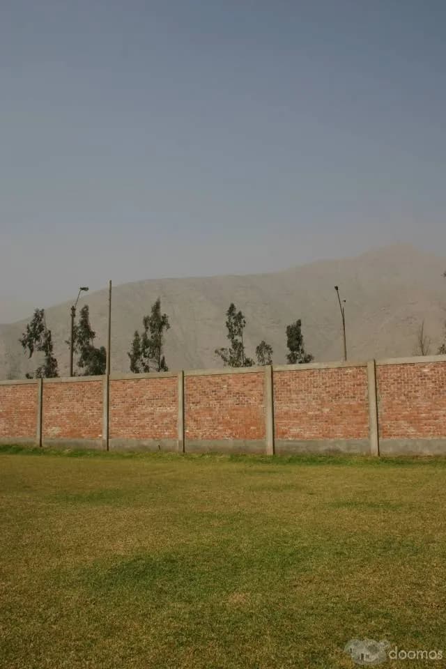 TERRENO EN OFERTA — foto 2