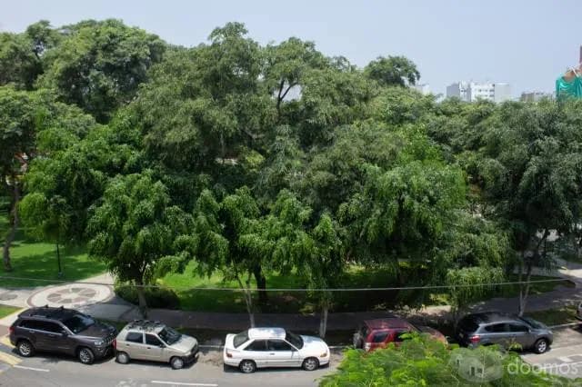 Alquiler Departamento Vista a Parque Amoblado San Borja — foto 4