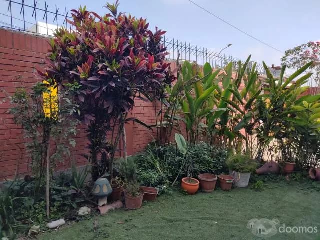 Se alquila habitación baño propio y áreas comunes — foto 4