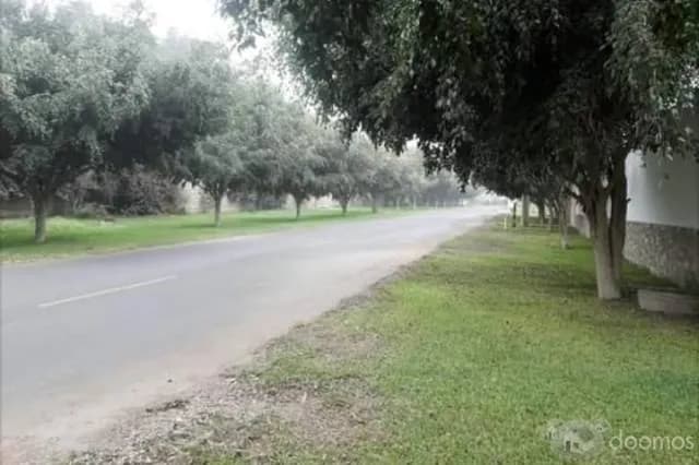 Venta de Terreno en Pachacamac — foto 1