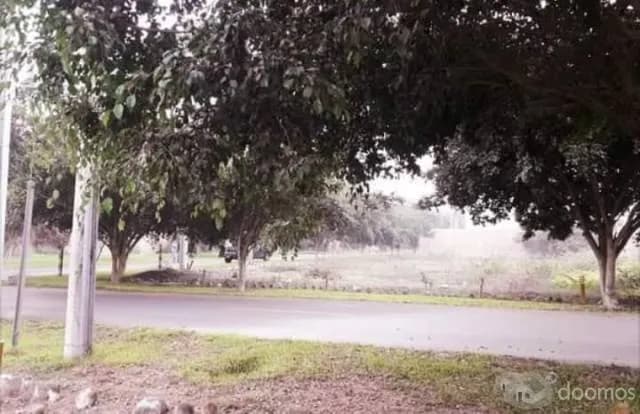 Venta de Terreno en Pachacamac — foto 3