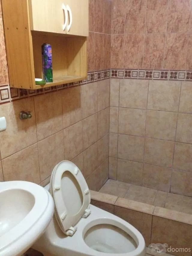 ALQUILER DE DEPARTAMENTO / PRIMER PISO / LOS OLIVOS — foto 4
