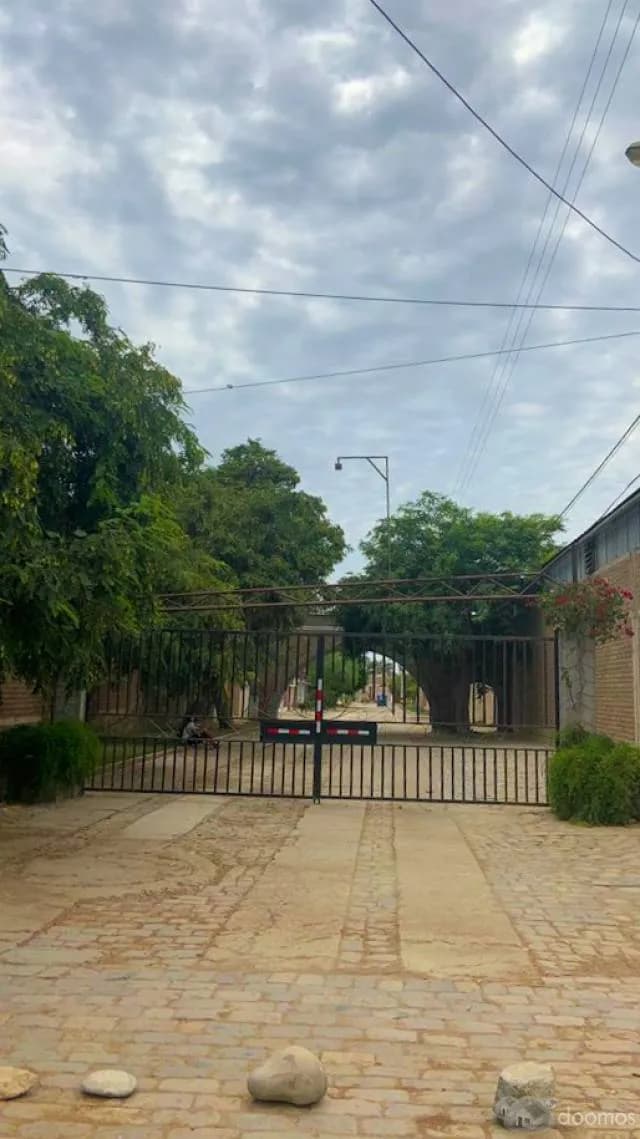 Terreno Residencial en Chincha 350 m2 — foto 3