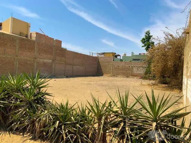Terreno Residencial en Chincha 350 m2 — foto 4