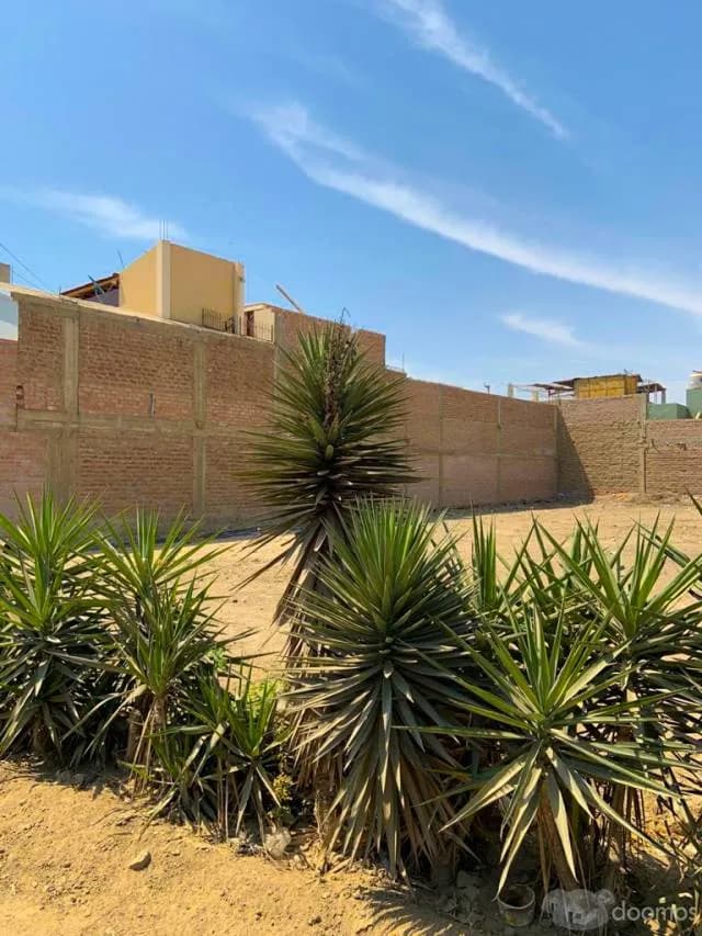 Terreno Residencial en Chincha 350 m2 — foto 5