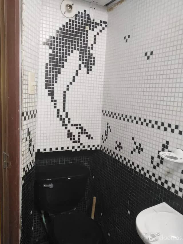 Alquilo Mini Departamento en Pueblo Libre — foto 7