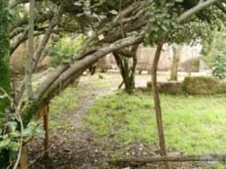 EN VENTA CASA COMO TERRENO EN CALLE TOTORAPACCHA - SAN BLAS