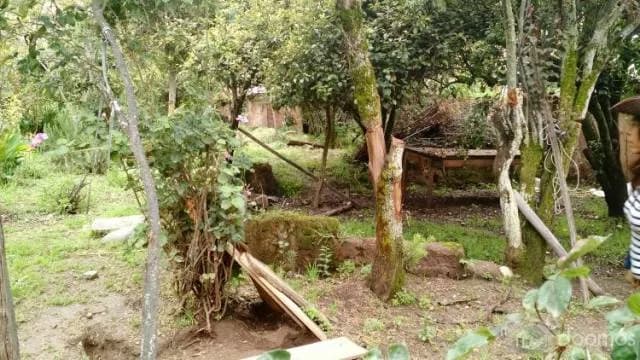 EN VENTA CASA COMO TERRENO EN CALLE TOTORAPACCHA - SAN BLAS — foto 3