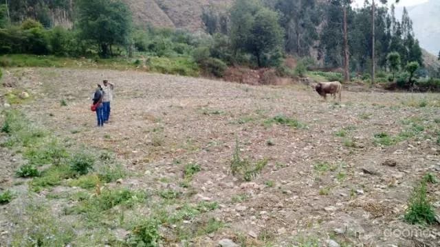 EN VENTA TERRENO EN PHIRY - OLLANTAYTAMBO — foto 8