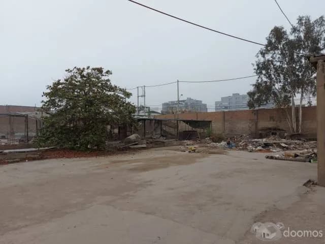 Venta de Terreno en San Juan de Lurigancho — foto 9