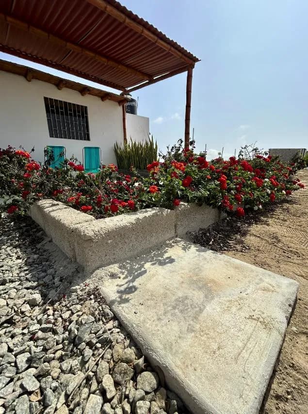 Casa  Campo TERRENO ‼️ en Cañete Venta area 1003 m2 — foto 10