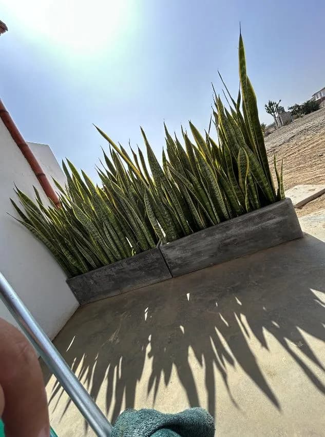 Casa  Campo TERRENO ‼️ en Cañete Venta area 1003 m2 — foto 4