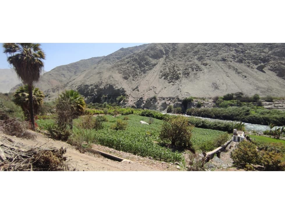 LUNAHUANA TERRENO en VENTA — foto 3