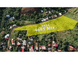 SE VENDE TERRENO URBANO CON ALMA RUSTICA EN TARAPOTILLO, TARAPOTO
