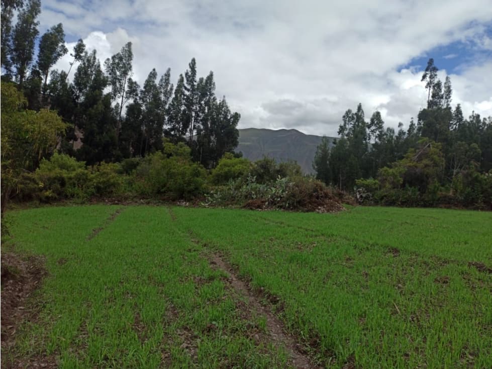 VENDO TERRENO 4980 M2 VALLE SAGRADO YANAHUARA URUBAMBA CUSCO PERU — foto 3