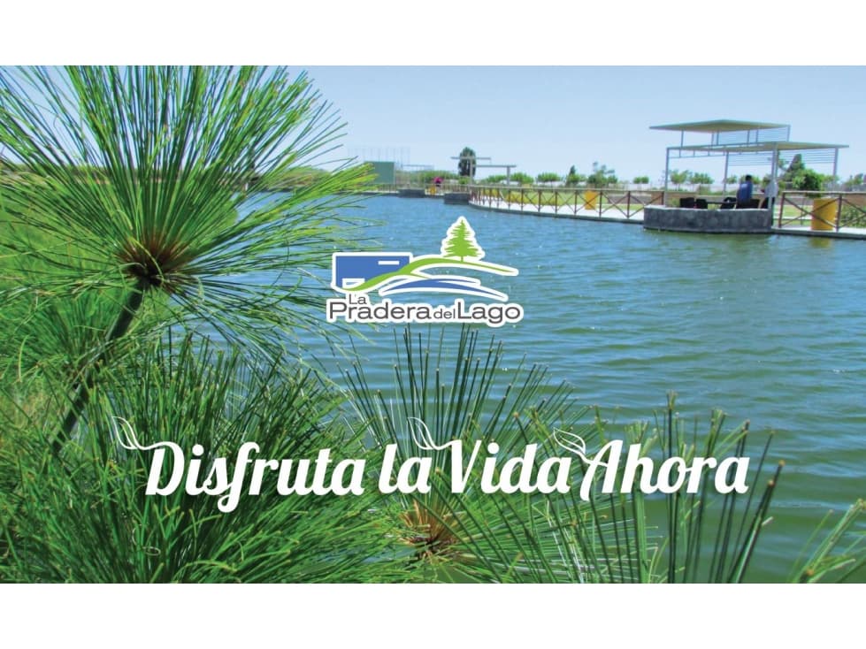 LOTES DE CASA DE CAMPO EN LA JOYA — foto 1