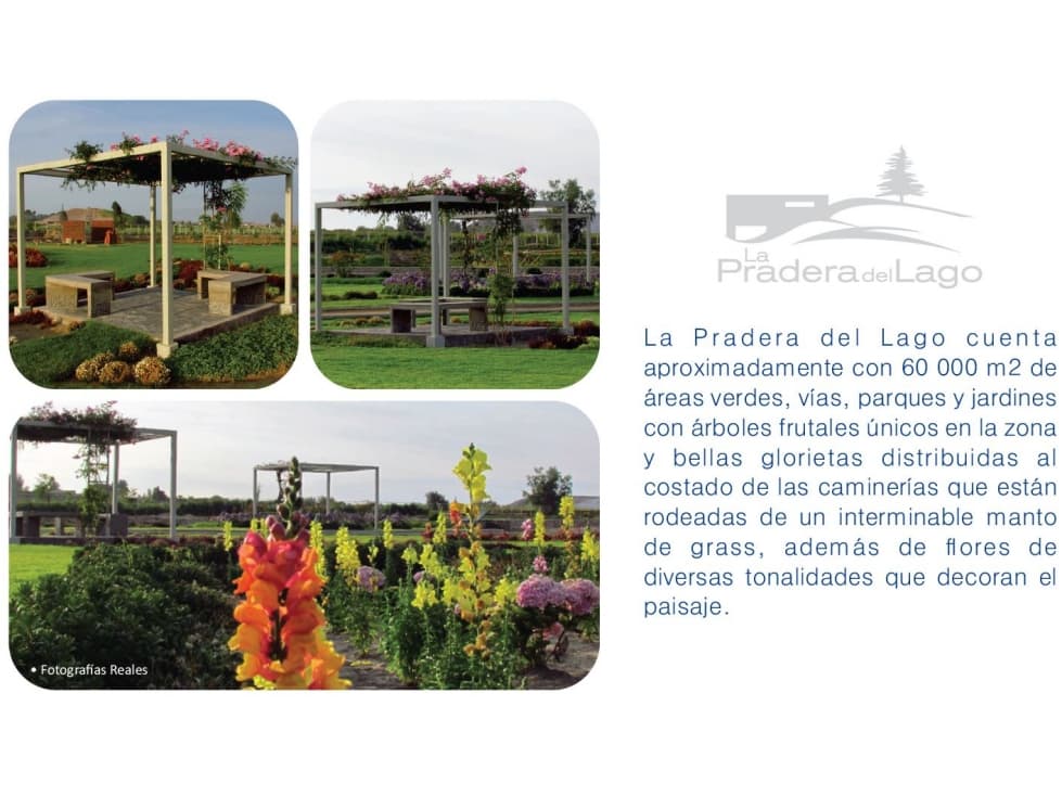 LOTES DE CASA DE CAMPO EN LA JOYA — foto 3
