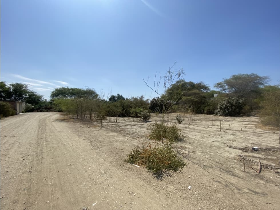 VENDO TERRENOS EN EJIDOS — foto 1
