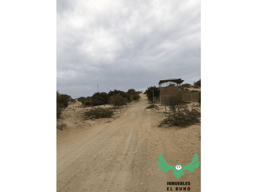 VENDO TERRENO EN LA MARIPOSA, PIURA. — foto 6