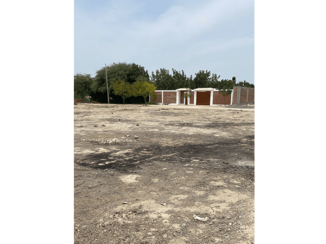 VENDO TERRENO A PRECIO DE OCASIÓN EN EJIDOS DEL NORTE, PIURA