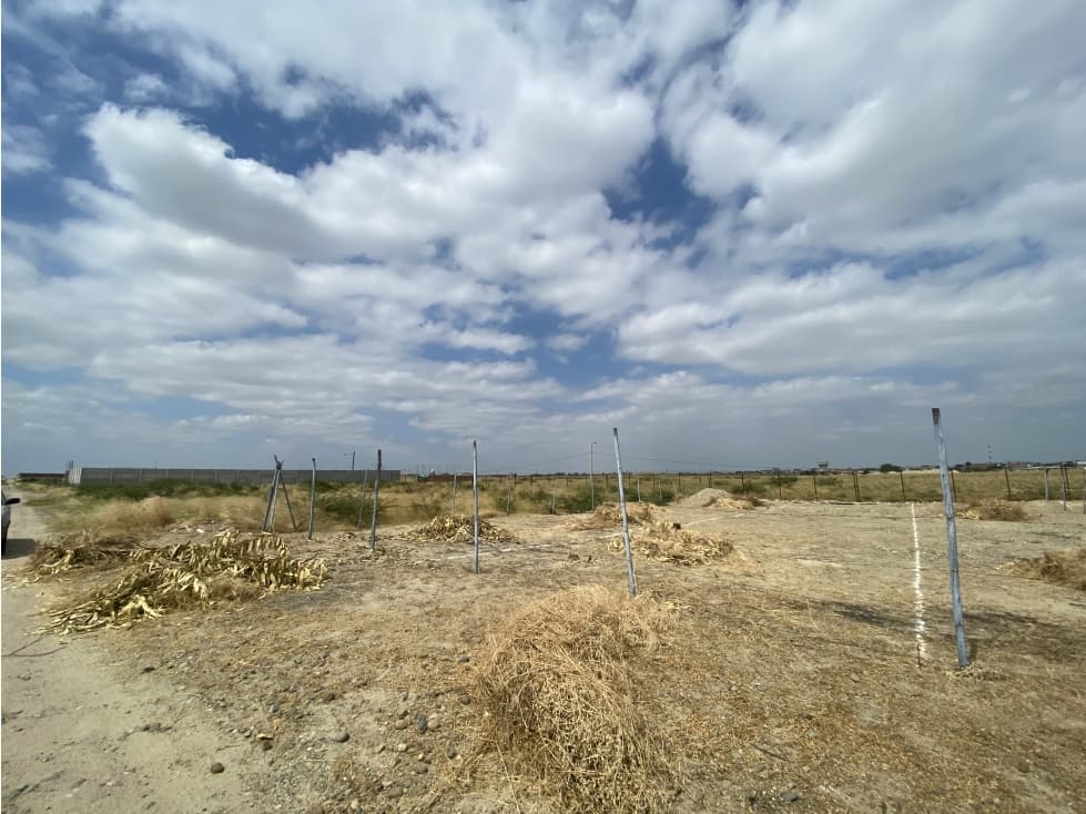 TERRENOS EN VENTA EN VISTA ALEGRE — foto 2