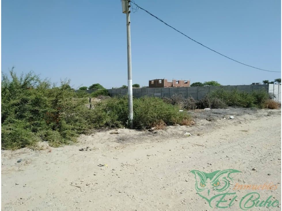 VENDO TERRENO EN PAMPAS DE CASTILLA, PIURA — foto 3