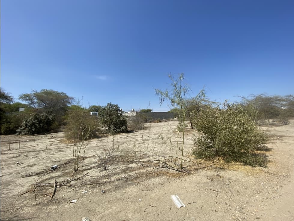 VENDO TERRENOS EN EJIDOS — foto 3