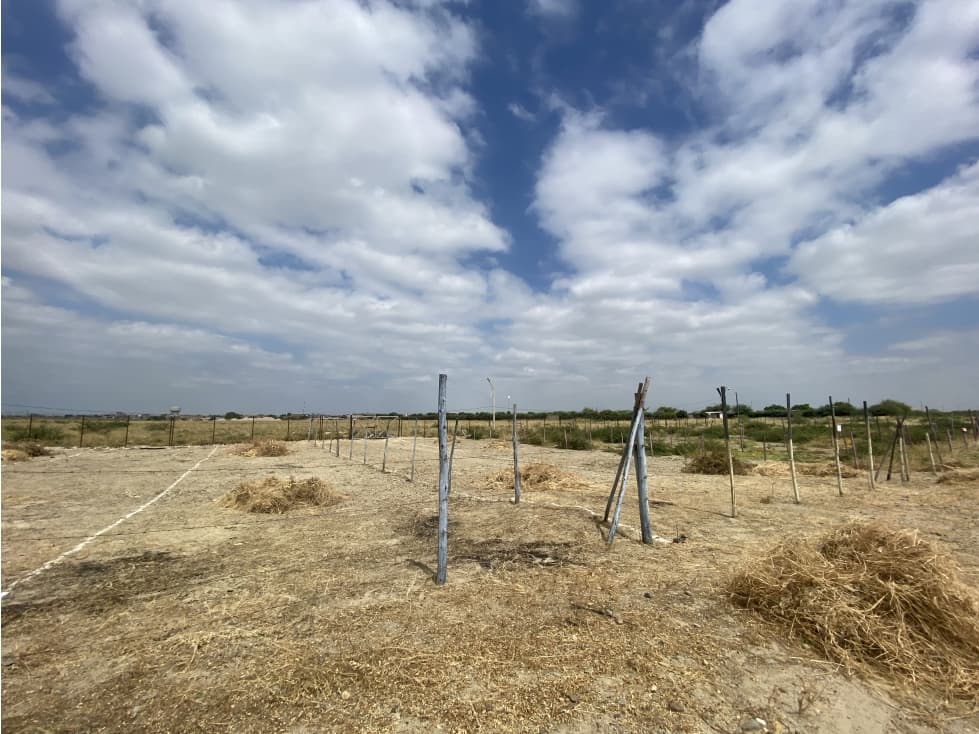 TERRENOS EN VENTA EN VISTA ALEGRE — foto 3