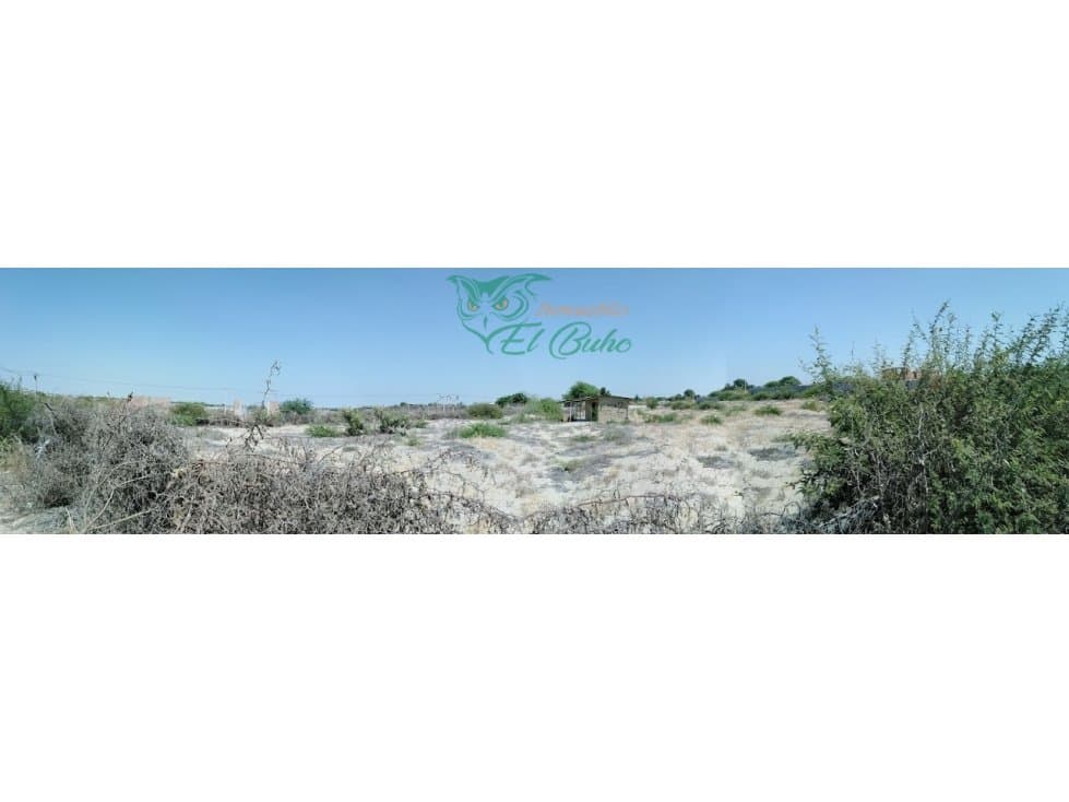 VENDO TERRENO EN PAMPAS DE CASTILLA, PIURA — foto 4