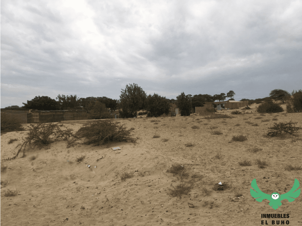 VENDO TERRENO EN LA MARIPOSA, PIURA. — foto 3