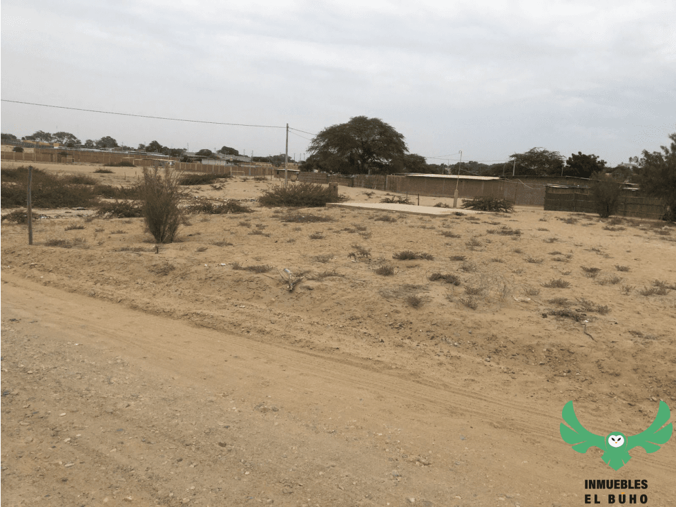 VENDO TERRENO EN LA MARIPOSA, PIURA. — foto 4