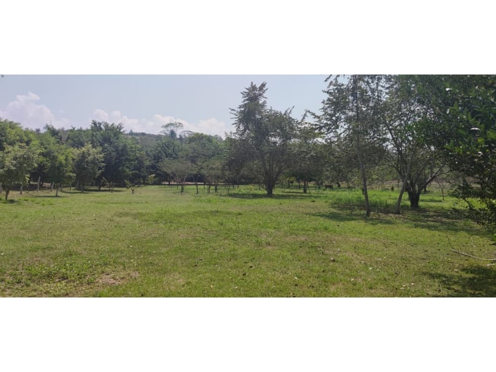 Terreno Tarapoto - 3 de Octubre - 10,000 m2 - US$45 x m2 — foto 1