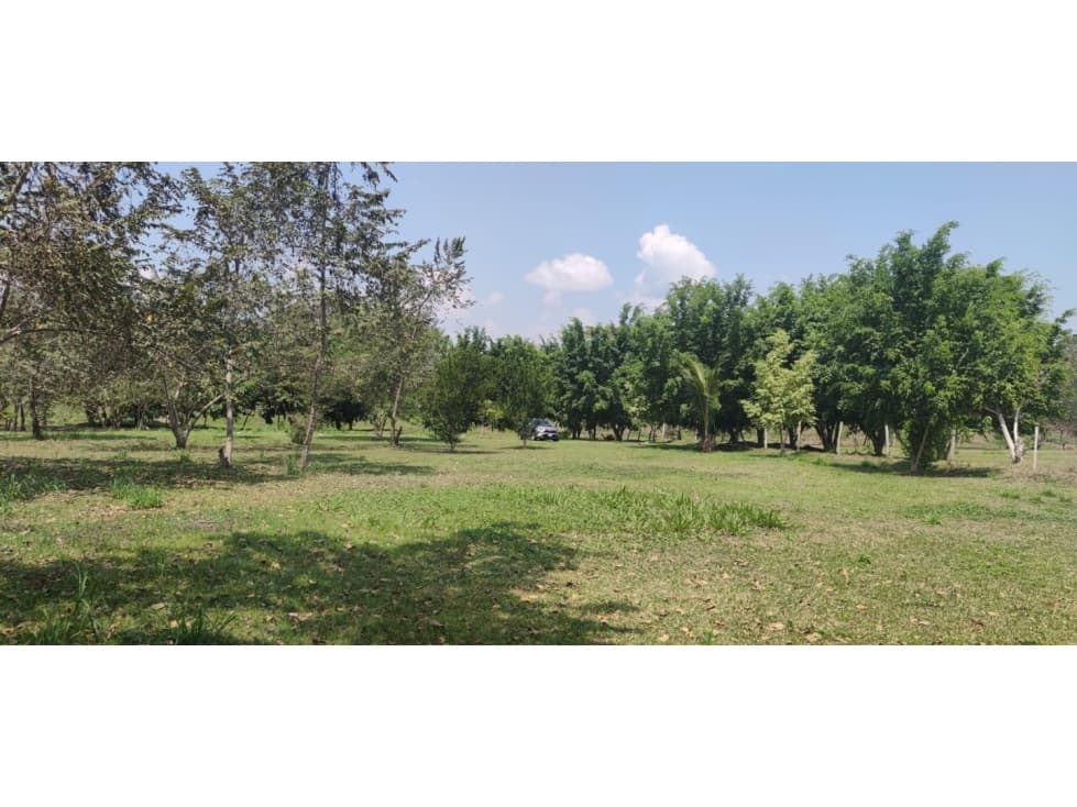 Terreno Tarapoto - 3 de Octubre - 10,000 m2 - US$45 x m2 — foto 2