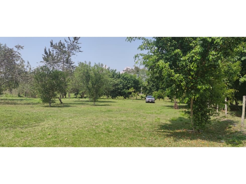 Terreno Tarapoto - 3 de Octubre - 10,000 m2 - US$45 x m2 — foto 3