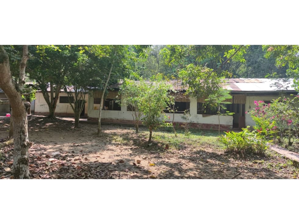 Tarapoto - Terreno circulado con quebrada - 1 ha. — foto 5