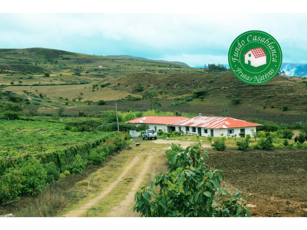 VENTA DE TERRENO EN PACHACAMAC — foto 1