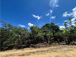 Terreno de 2,600 m² de naturaleza y tranquilidad