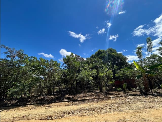 Terreno de 2,600 m² de naturaleza y tranquilidad