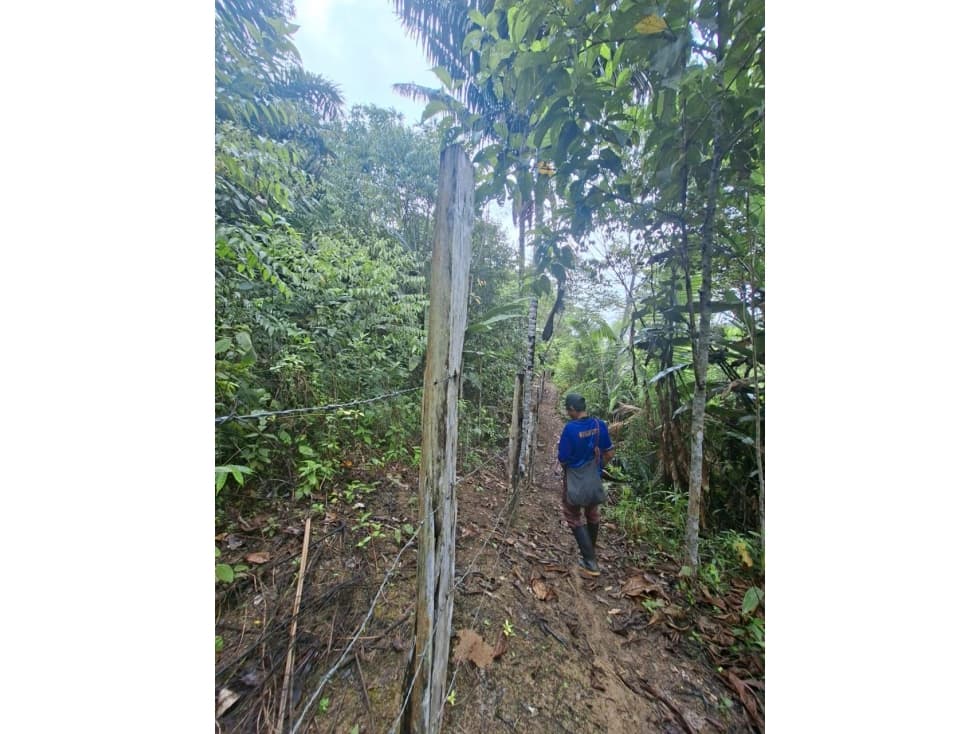 HERMOSO TERRENO EN SAN ROQUE DE CUMBAZA — foto 4