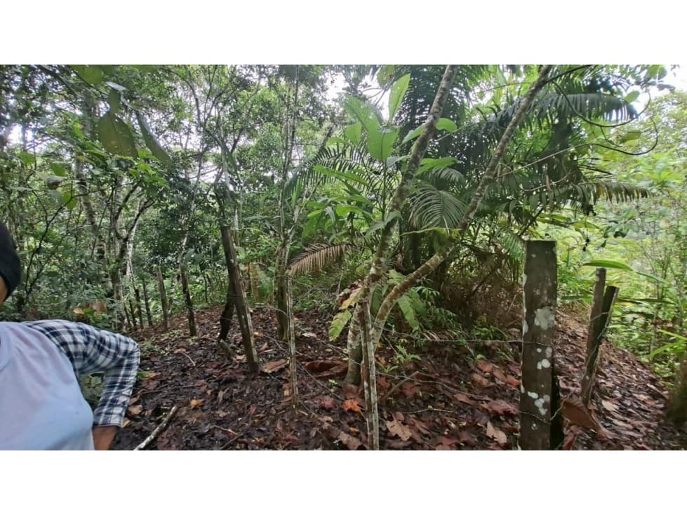 HERMOSO TERRENO EN SAN ROQUE DE CUMBAZA — foto 3