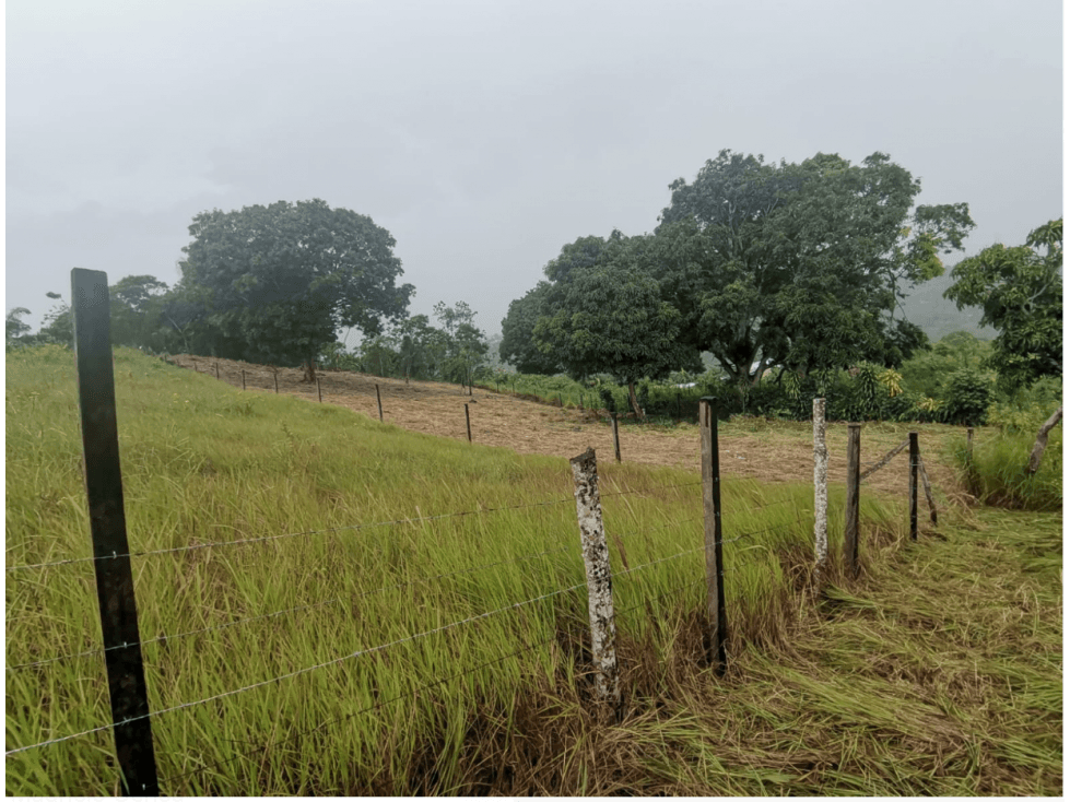 OPORTUNIDAD TERRENO CON EXCELENTE VISTA — foto 2