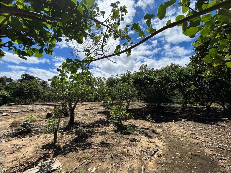 Terreno de 2,600 m² de naturaleza y tranquilidad — foto 3