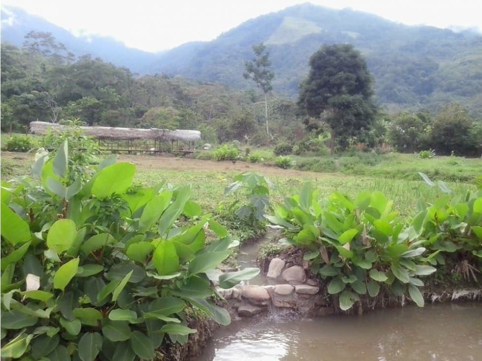 PROPIEDADES EN LINDO CONDOMINIO DE CAMPO — foto 5