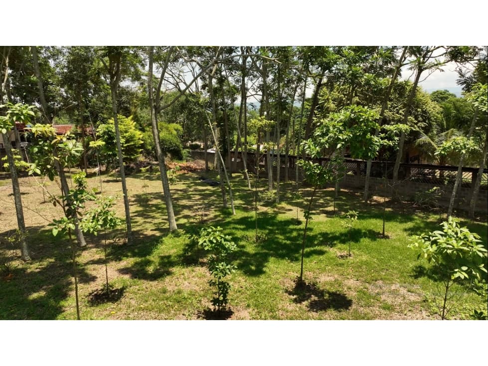 Terreno en Morales — foto 4